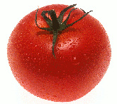 Pomodoro