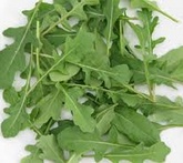 Rucola - cura delle piante da orto