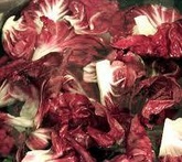 Radicchio - cura delle piante da orto