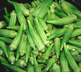 Gombo o okra