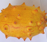 Kiwano - cura delle piante da frutta