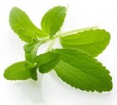 Stevia