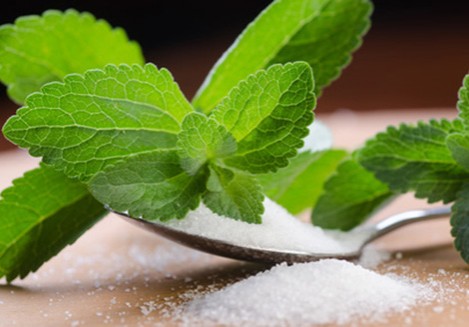 stevia